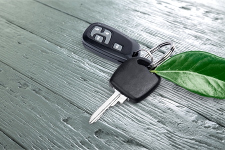 Green leaf and car Key