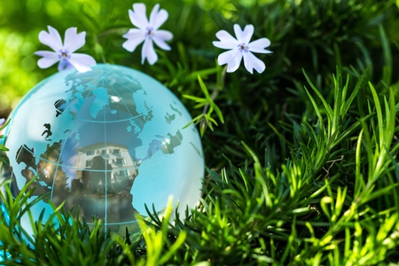glass globe on a grass
