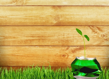 Can reused for growing a new plantの写真素材