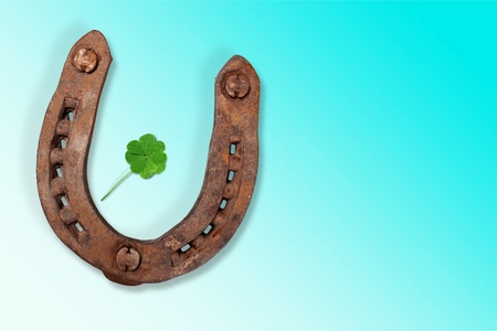 Metal horseshoe and clover leaf on woodenの写真素材