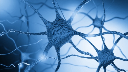 Neurons cells close upの写真素材