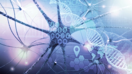 Human Nervous Systemの写真素材