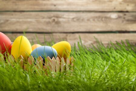 Easter eggs on grass