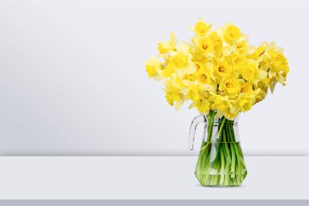 Narcissus flowers in vaseの写真素材