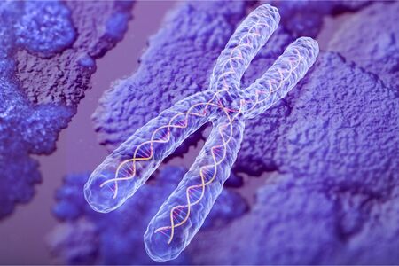 Human cell violet chromosome, medical conceptの写真素材