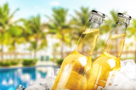 Bottles of cold and fresh beer with ice isolated on whiteの写真素材