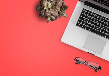 Color of the year 2019 living Coral. Top view of workspace with laptop, succulent and glasses and...
