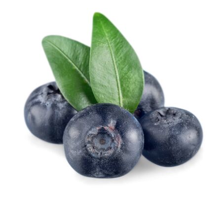 bilberry fruit vegetable isolated on whiteの写真素材