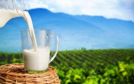 Glass of milk and jug on woodenの写真素材