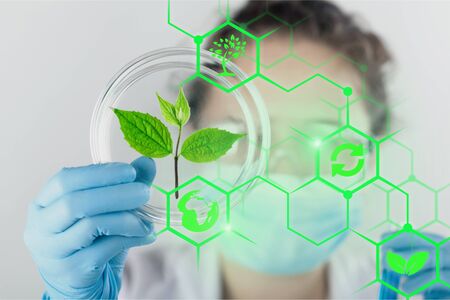 Scientist holds sprout lab laboratory plant agriculture agronomy analyzing