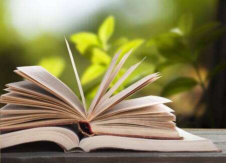 Old open Books  on background.の写真素材