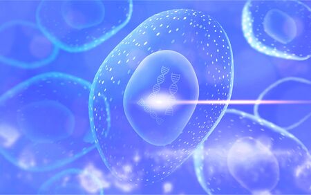 Cells under microscope