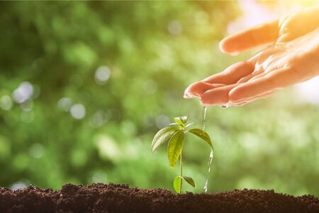 Earth eco living planet plant agriculture background