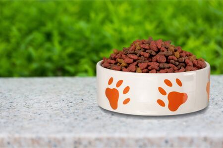 Dog food in Silver Bowl on a