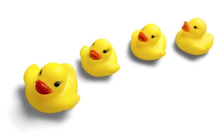 Rubber Ducks Familyの写真素材