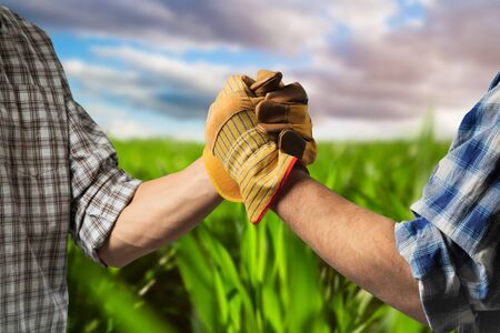 Two farmers talk on the field, then shake hands.の写真素材
