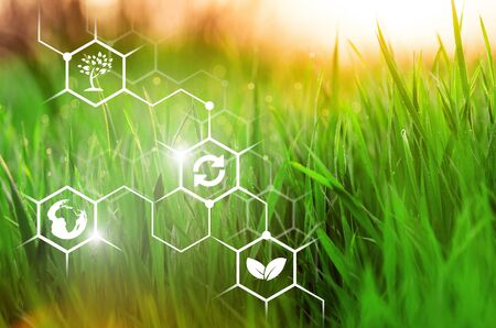 Plants background with biochemistry structure.
    
    - Imageの写真素材