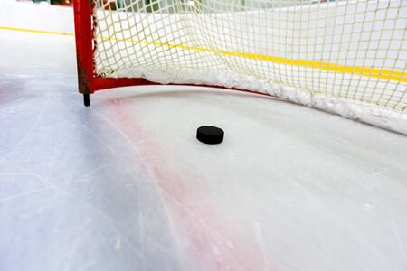 Hockey Net with Puck in Goal