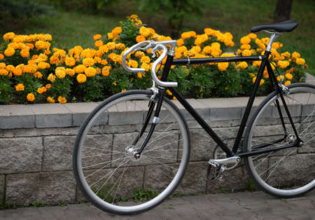 Vintage bike over flowerbed with yellow flowers.の写真素材