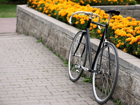Vintage bike over flowerbed with yellow flowers.の写真素材