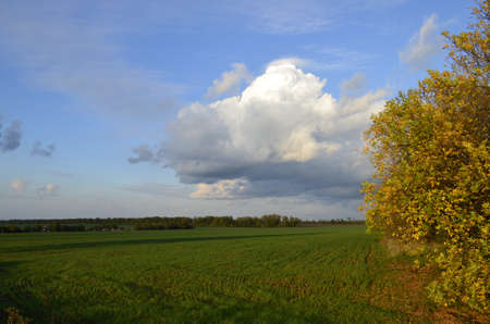 Autumn Landscapeの写真素材