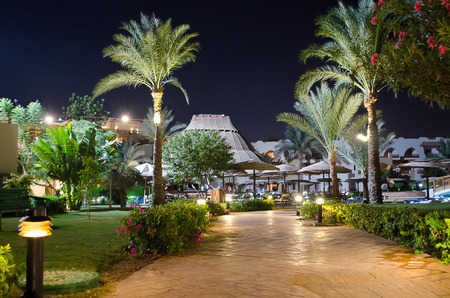 Egypt, Sharm - Sharm El Sheikh   Night landscape  Exotic plants のeditorial素材