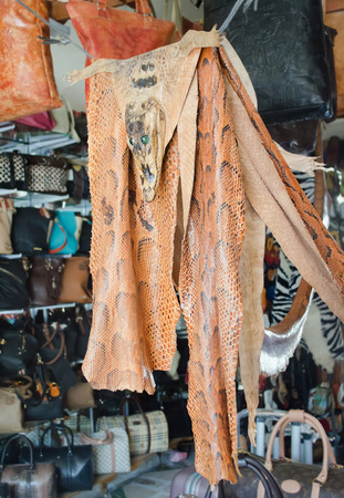 Gift of travel. Skin, crocodile and snake anaconda is sold at the store in Egypt.の写真素材