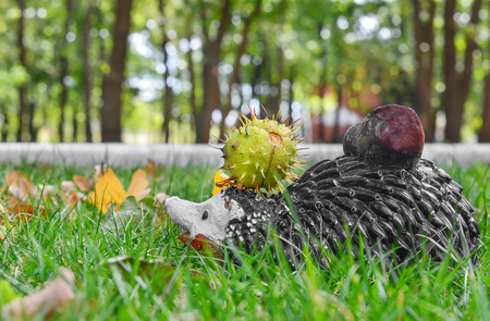 Toy - a hedgehog with chestnuts on pins and needles in the green grassの写真素材