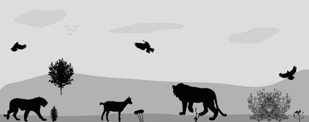 Wild Animals on the Prowl. Vector Illustration.のイラスト素材