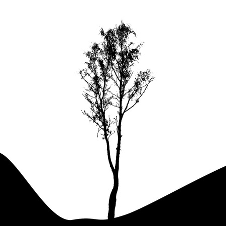 Tree Silhouette Isolated on White Backgorund. Vecrtor Illustrationのイラスト素材