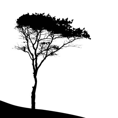 Tree Silhouette Isolated on White Backgorund. Vecrtor Illustrationのイラスト素材