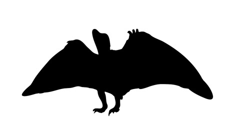 Silhouette Dinosaur. Black Vector Illustration.のイラスト素材