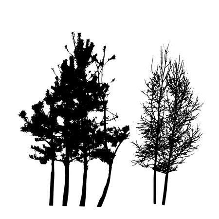 Tree Silhouette Isolated on White Backgorund. Vecrtor Illustrationのイラスト素材