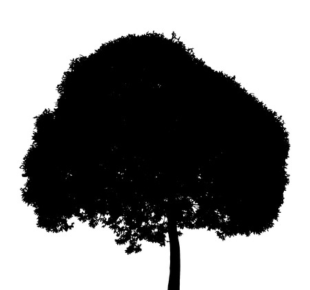 Tree Silhouette Isolated on White Backgroundのイラスト素材