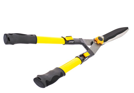 Garden Secateurs Isolated on White Background