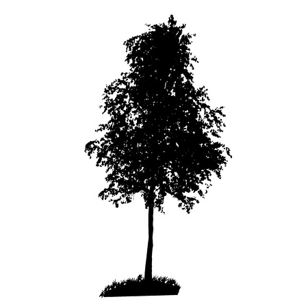 Tree Silhouette Isolated  のイラスト素材