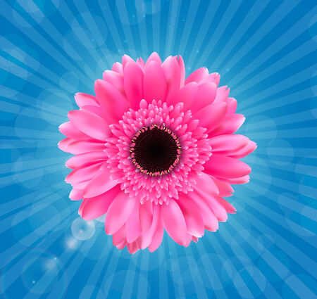 Gerbera Flower Isolated on White Backgroundのイラスト素材