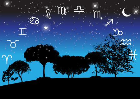 Set of Symbol Zodiac Sign. Vector Illustration.のイラスト素材