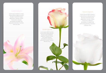 Beautiful Floral Cards with  Realistic Flowers Rose and Lilly Veのイラスト素材