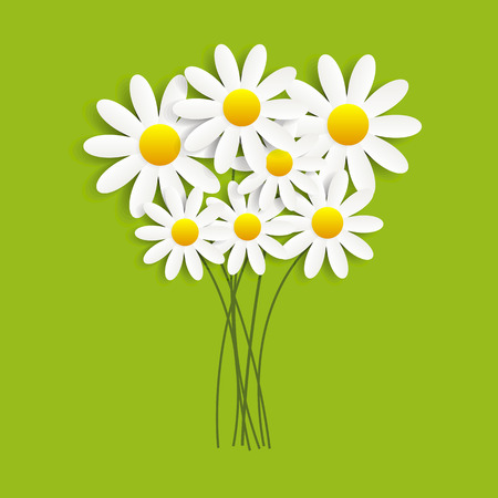 Flora Daisyl Design. Green Background. Vector Illustartion EPS10のイラスト素材