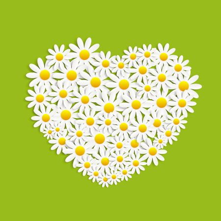 Flora Daisyl Design. Green Background. Vector Illustartion EPS10のイラスト素材