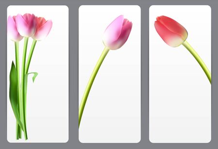 Beautiful Floral Cards with  Realistic Tulip Vector Illustrationのイラスト素材
