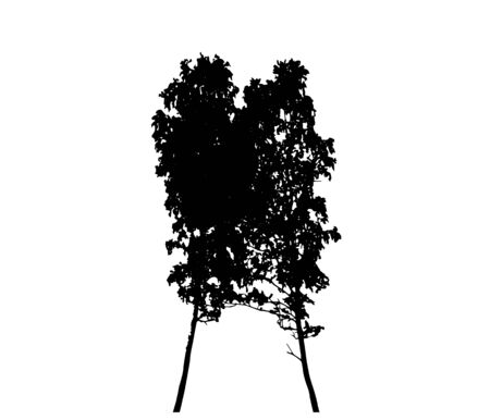 Tree Silhouette Isolated on White Backgorund. Vector Illustration. EPS10のイラスト素材
