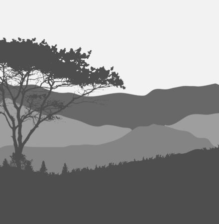 Image of Nature. Tree Silhouette. Vector Illustration. のイラスト素材