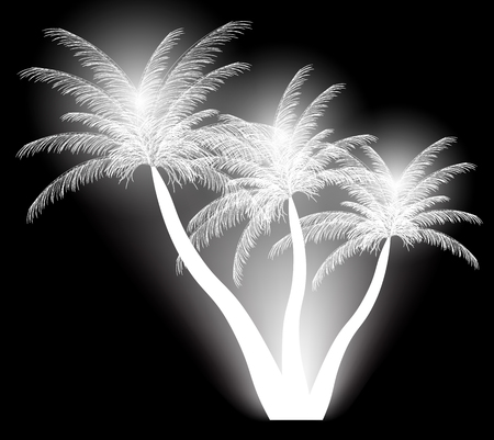 Palm silhouette. Vector illustration. EPS 10.のイラスト素材