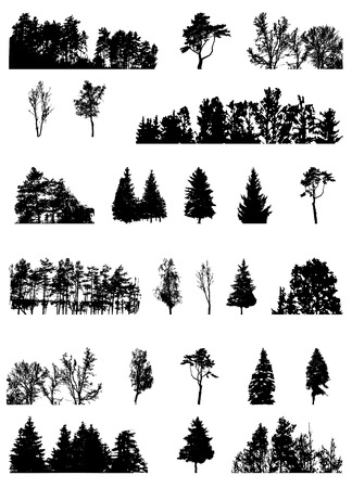 Set of Tree Silhouette Isolated on White Backgorund. Vecrtor Illustration. EPS10のイラスト素材