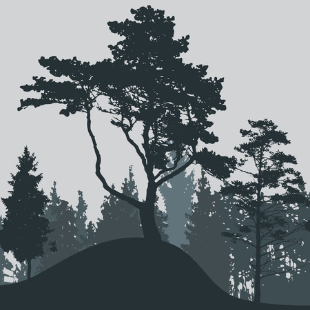 Image of Nature. Tree Silhouette. Vector Illustration. EPS10のイラスト素材