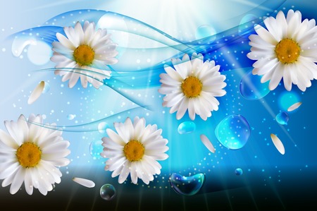 Abstract Chamomile Flowers Natural Spring and Summer Backgroundのイラスト素材
