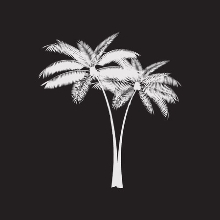 Palm Leaf Vector Pattern Illustrationのイラスト素材