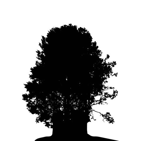 Black and White Silhouette of Deciduous Treeのイラスト素材